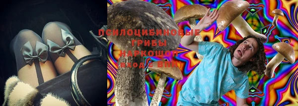 винт Козловка