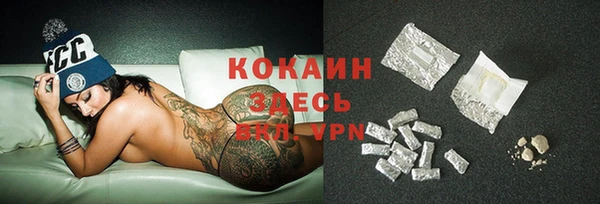 винт Козловка