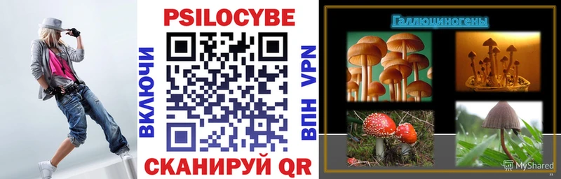 Псилоцибиновые грибы GOLDEN TEACHER хочу наркоту Иланский